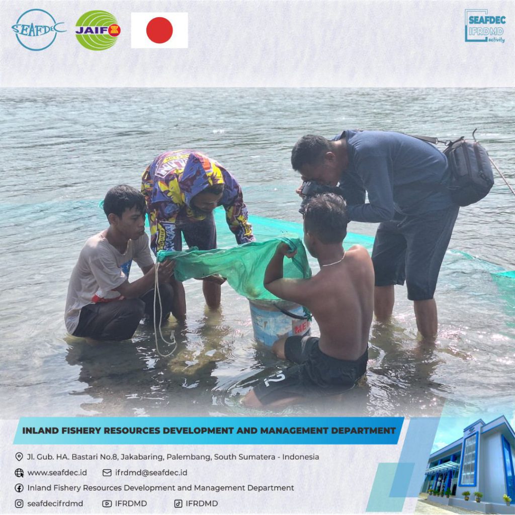 Eel Catch Sampling Survey In Indonesia SEAFDEC IFRDMD